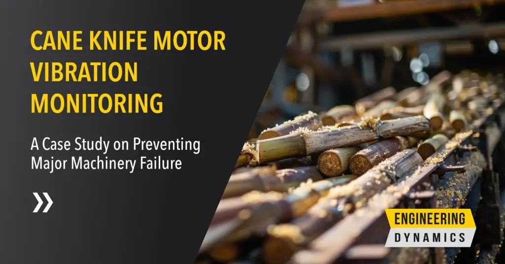 Close-up of sugarcane stalks on machinery with text about vibration monitoring case study.